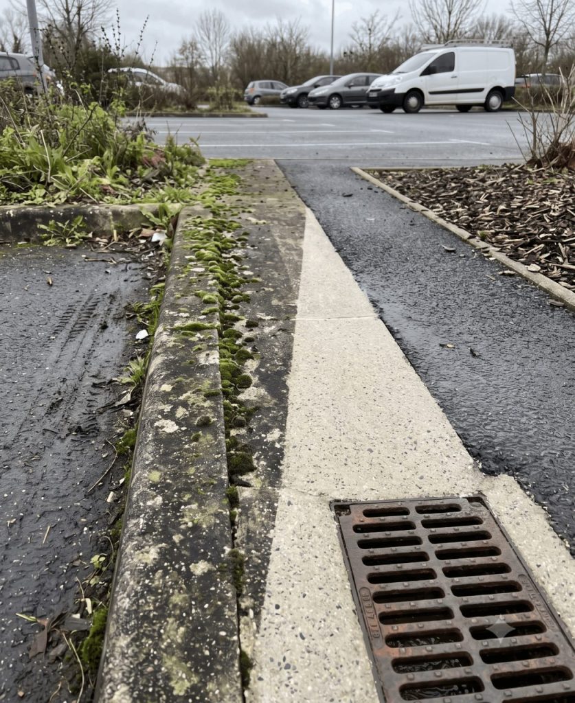 Cadrage vertical serré sur une bordure de parking extérieur traitée contre les mousses. Moitié gauche encore verte et encrassée, moitié droite nettoyée laissant apparaître le béton clair, grille d’avaloir propre au premier plan.